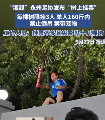 永州足协树上挂票梗