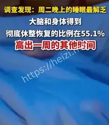 周二睡眠恢复机制
