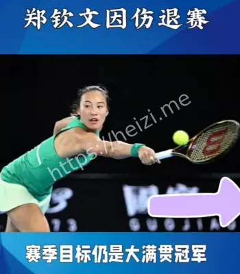 郑钦文退赛中网